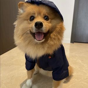 WagWear Nylon Raincoat. size 12